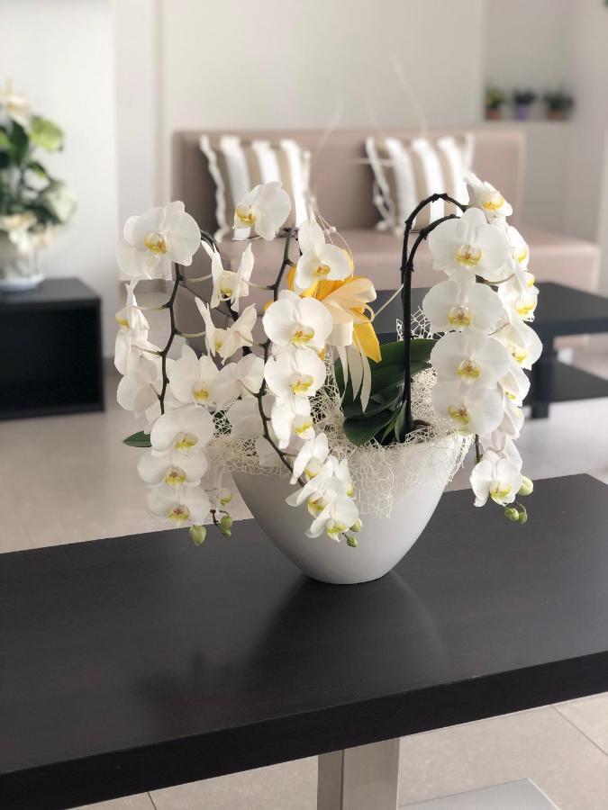 Hotel Carmen Ричоне Екстериор снимка